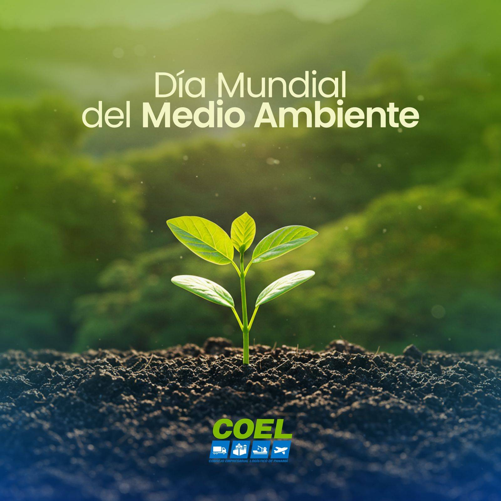 imagen-p